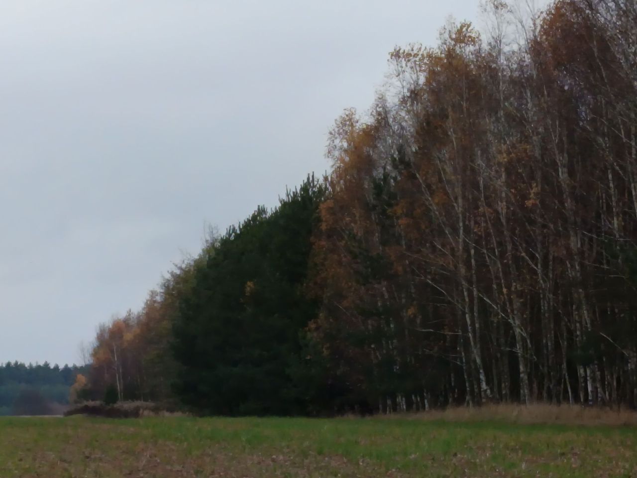 Działka rolna Antoniki. Zdjęcie 7