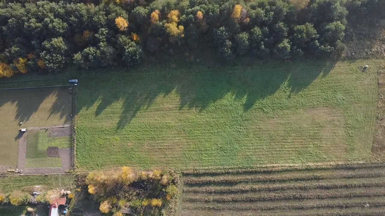 Działka rolna Wilkowo. Zdjęcie 7