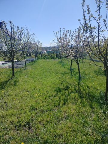 dom wolnostojący, 4 pokoje Kłodzko, Jarzębinowa. Zdjęcie 11