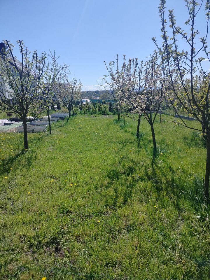 dom wolnostojący, 4 pokoje Kłodzko, Jarzębinowa. Zdjęcie 11