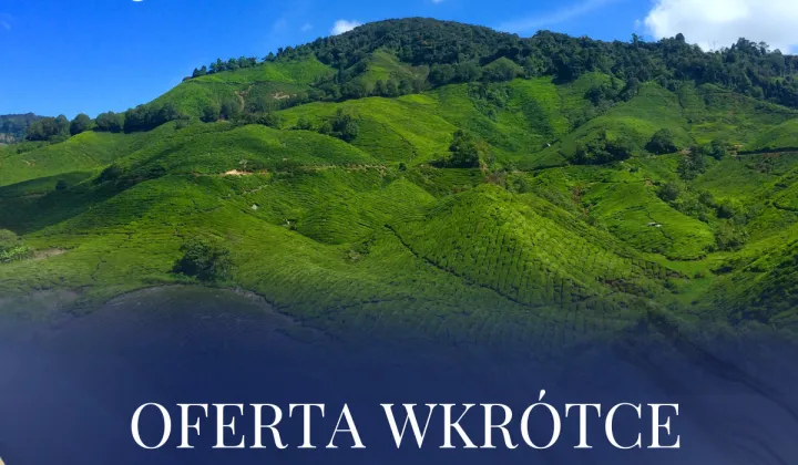 Działka rolna Żołynia