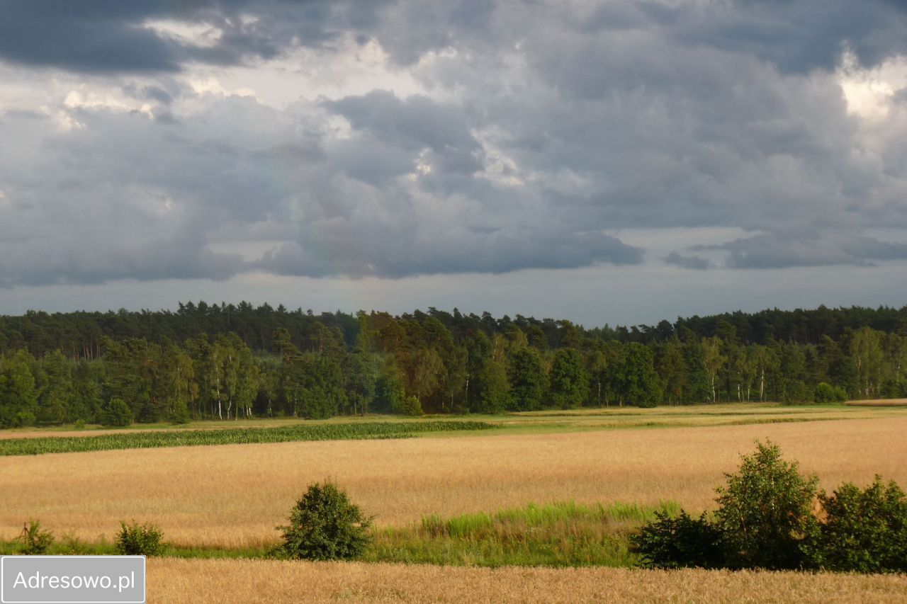 Działka budowlana Radziwiłłów. Zdjęcie 15