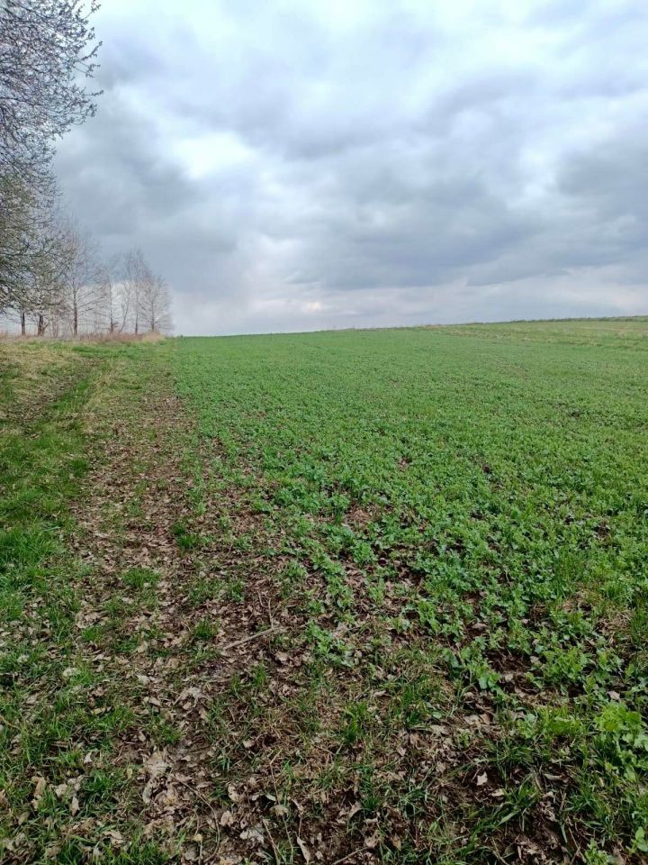 Działka rolna Niechobrz. Zdjęcie 7