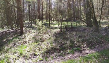 Działka leśna Bocheniec
