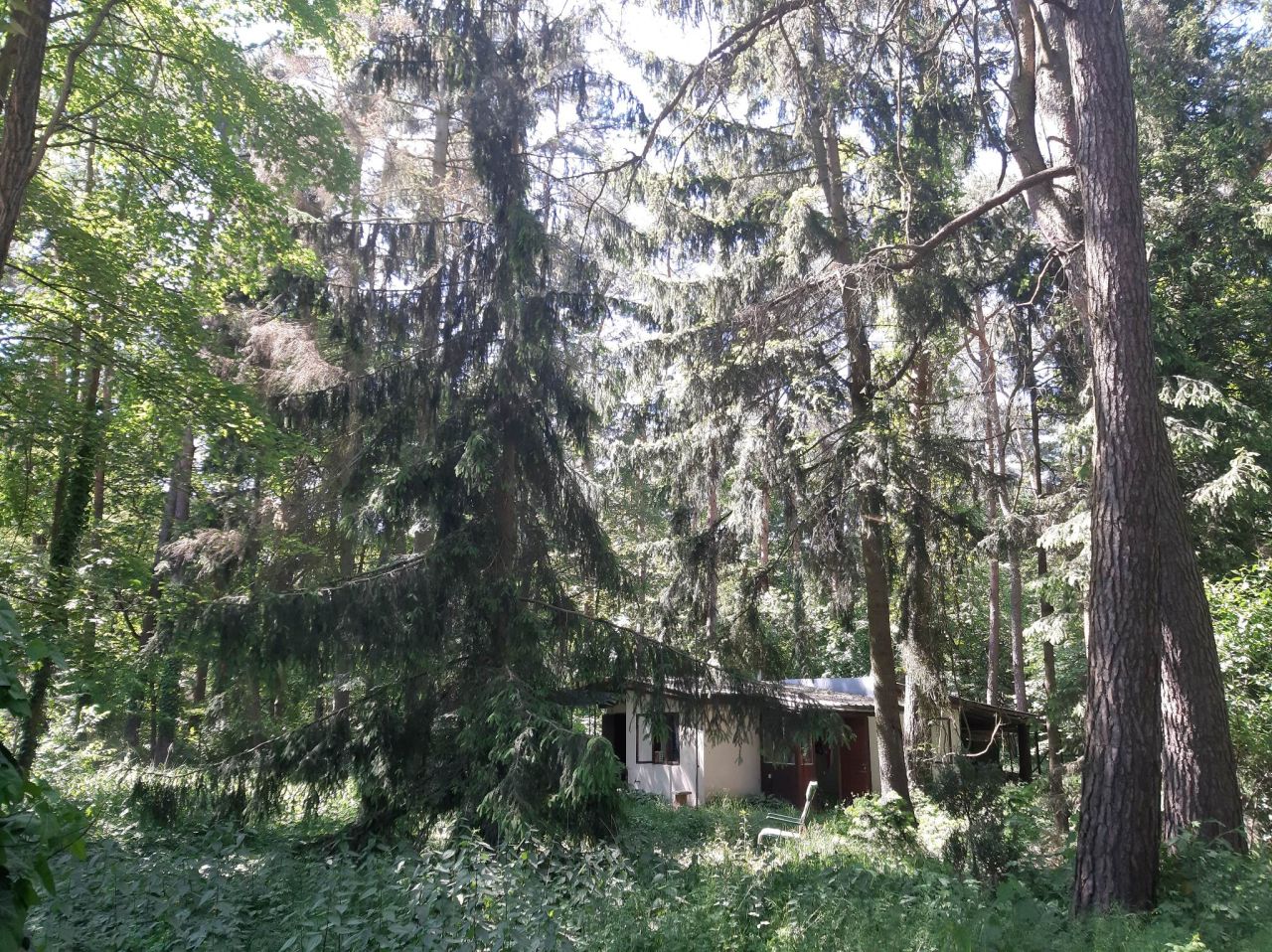 Działka budowlana Sokolniki-Las, ul. Jana Kasprowicza. Zdjęcie 1