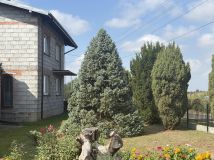 siedlisko, 6 pokoi Wiewiórka. Zdjęcie 2