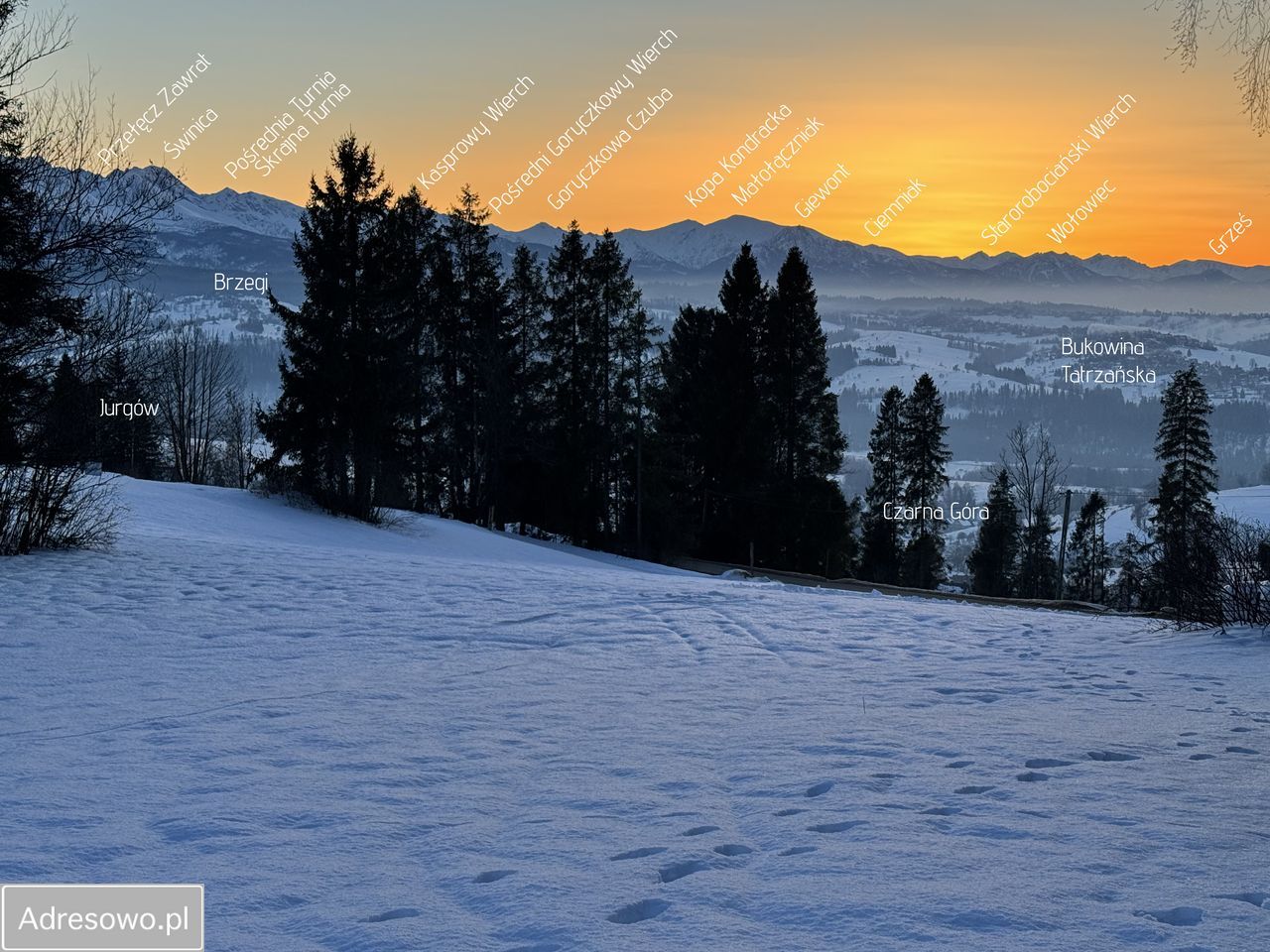 Działka budowlana Rzepiska, ul. Pawliki. Zdjęcie 3
