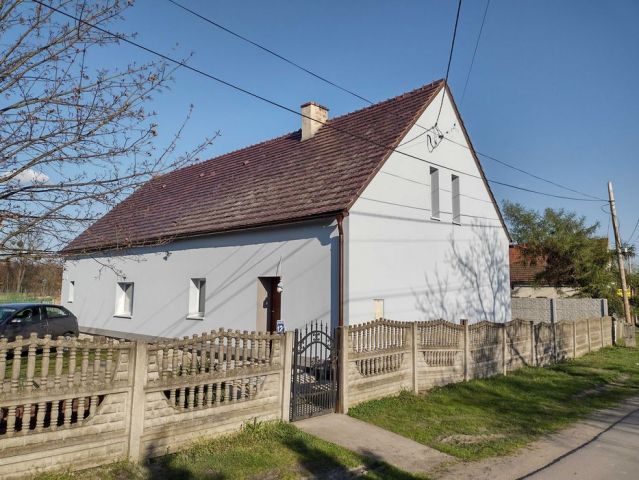 dom wolnostojący, 4 pokoje Borkowice. Zdjęcie 1