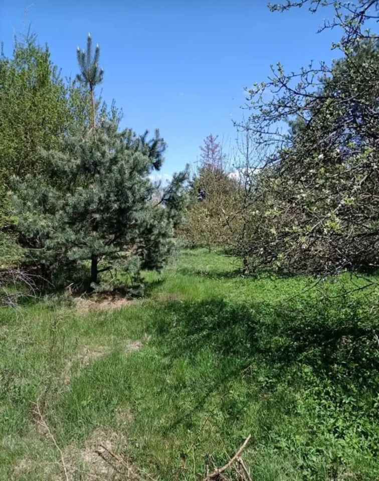 Działka budowlana Marcinków. Zdjęcie 4