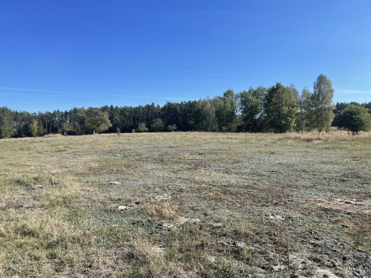 Działka rolna Jedlina. Zdjęcie 9