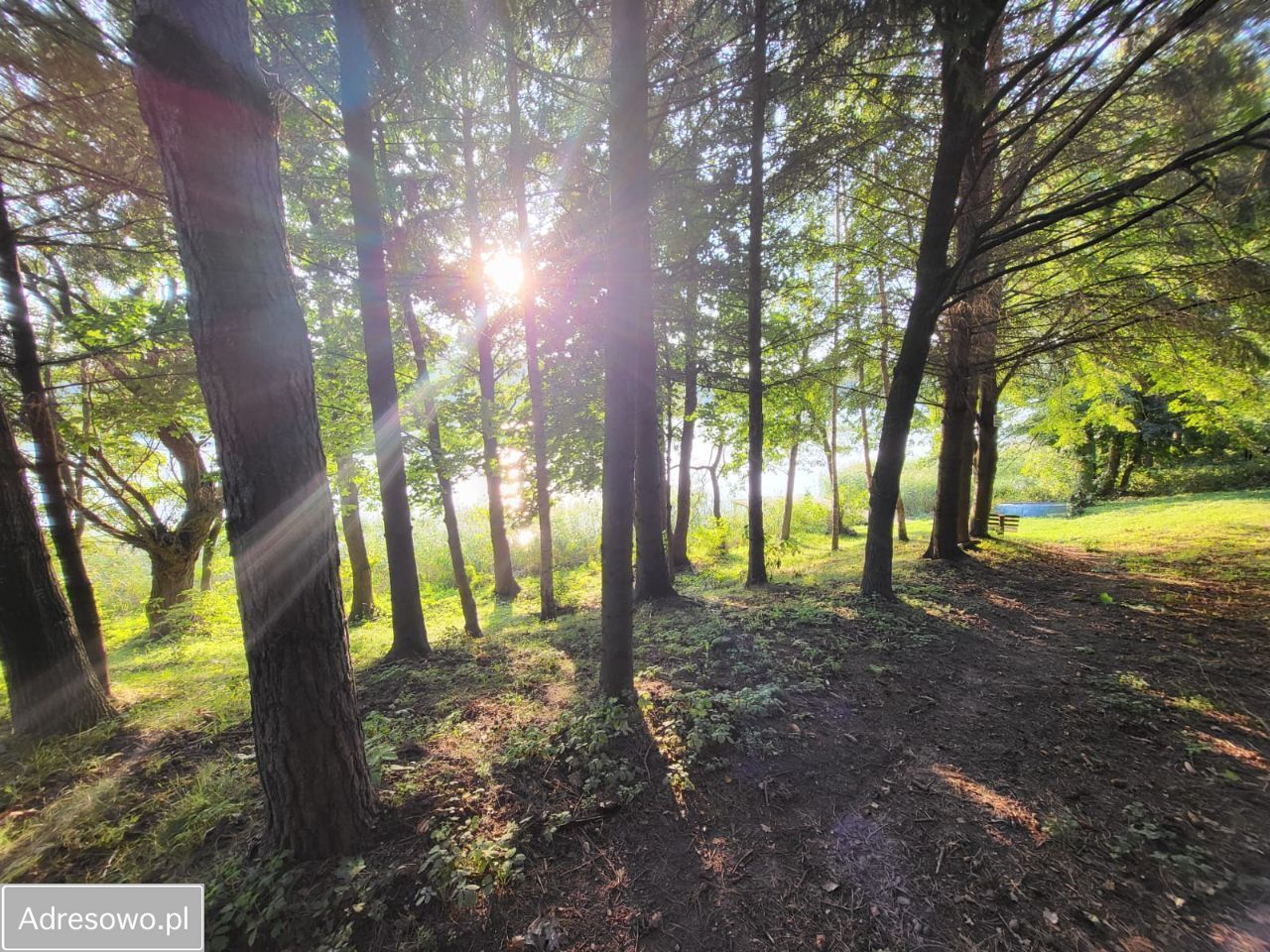 Działka budowlana Kiersztanowo. Zdjęcie 12