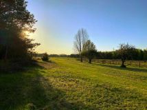 Działka Nowe Zawady. Zdjęcie 1