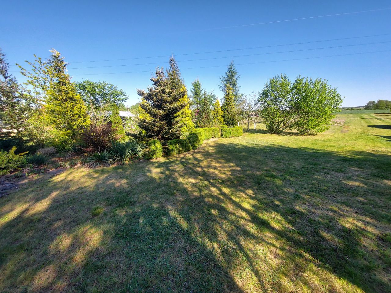 Działka rolna Krościna Mała. Zdjęcie 17