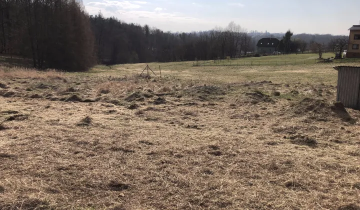 Działka budowlana Wiślica, ul. Willowa