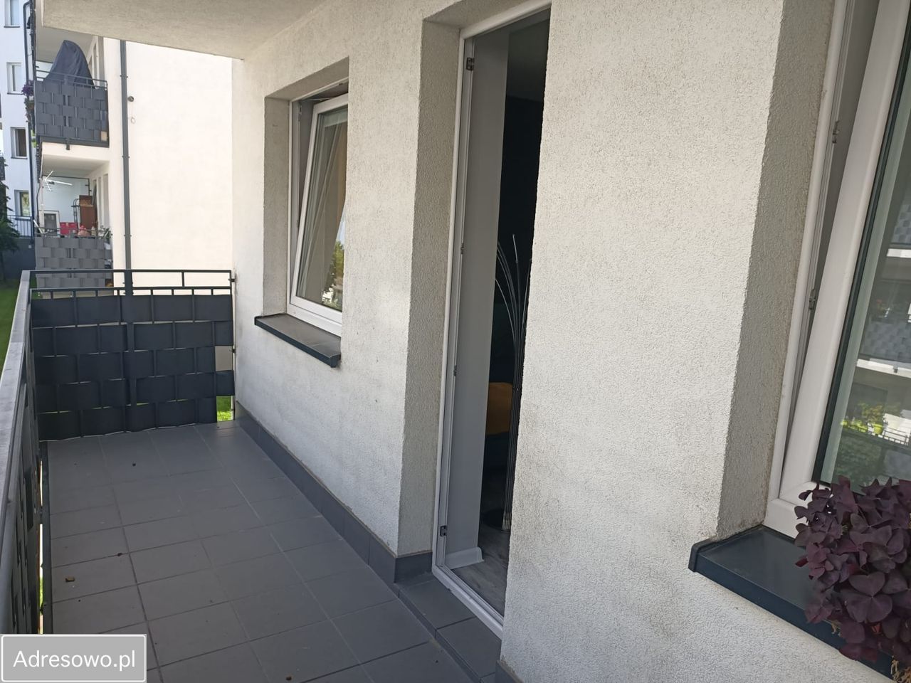 Mieszkanie 2-pokojowe Ząbki, ul. Zieleniecka. Zdjęcie 3