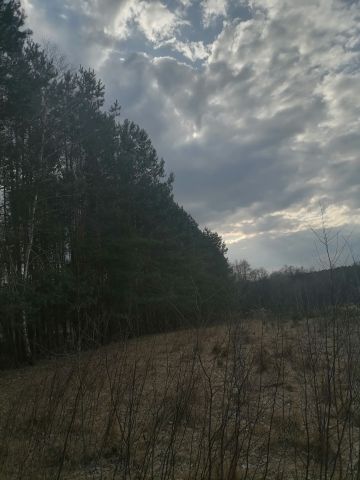 Działka rolno-budowlana Malkowice. Zdjęcie 1