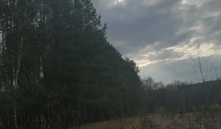 Działka rolno-budowlana Malkowice