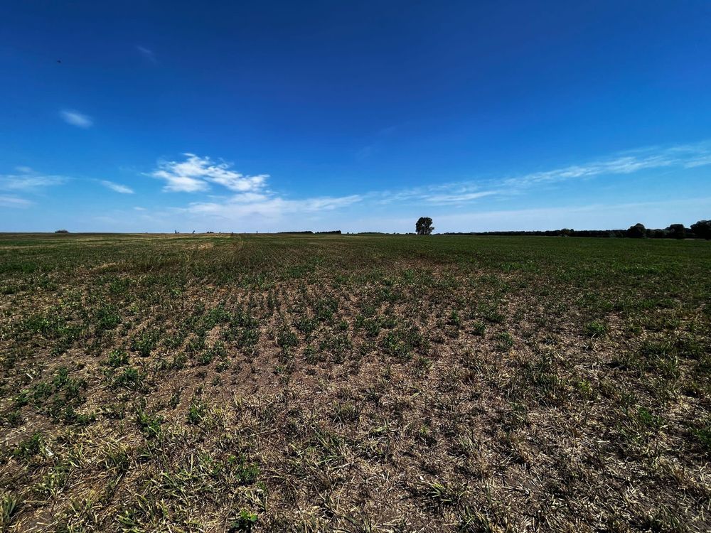 Działka rolno-budowlana Kwik. Zdjęcie 6