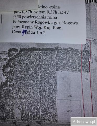 Działka Rogówko. Zdjęcie 1