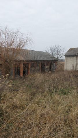 Działka siedliskowa Buchałowice. Zdjęcie 1