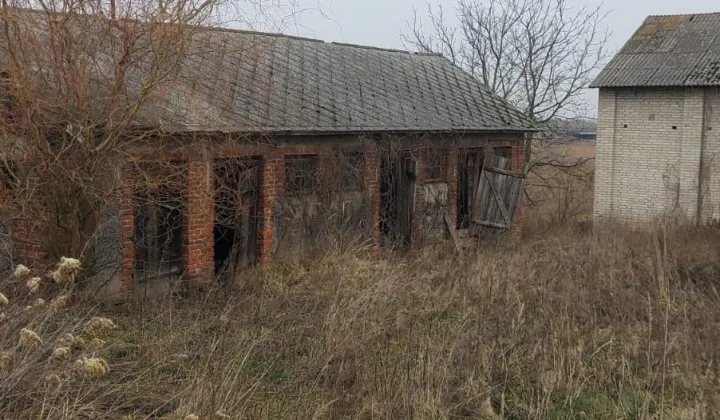 Działka siedliskowa Buchałowice