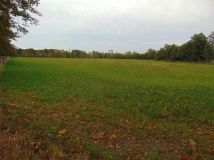 Działka inwestycyjna Zielona Góra. Zdjęcie 1