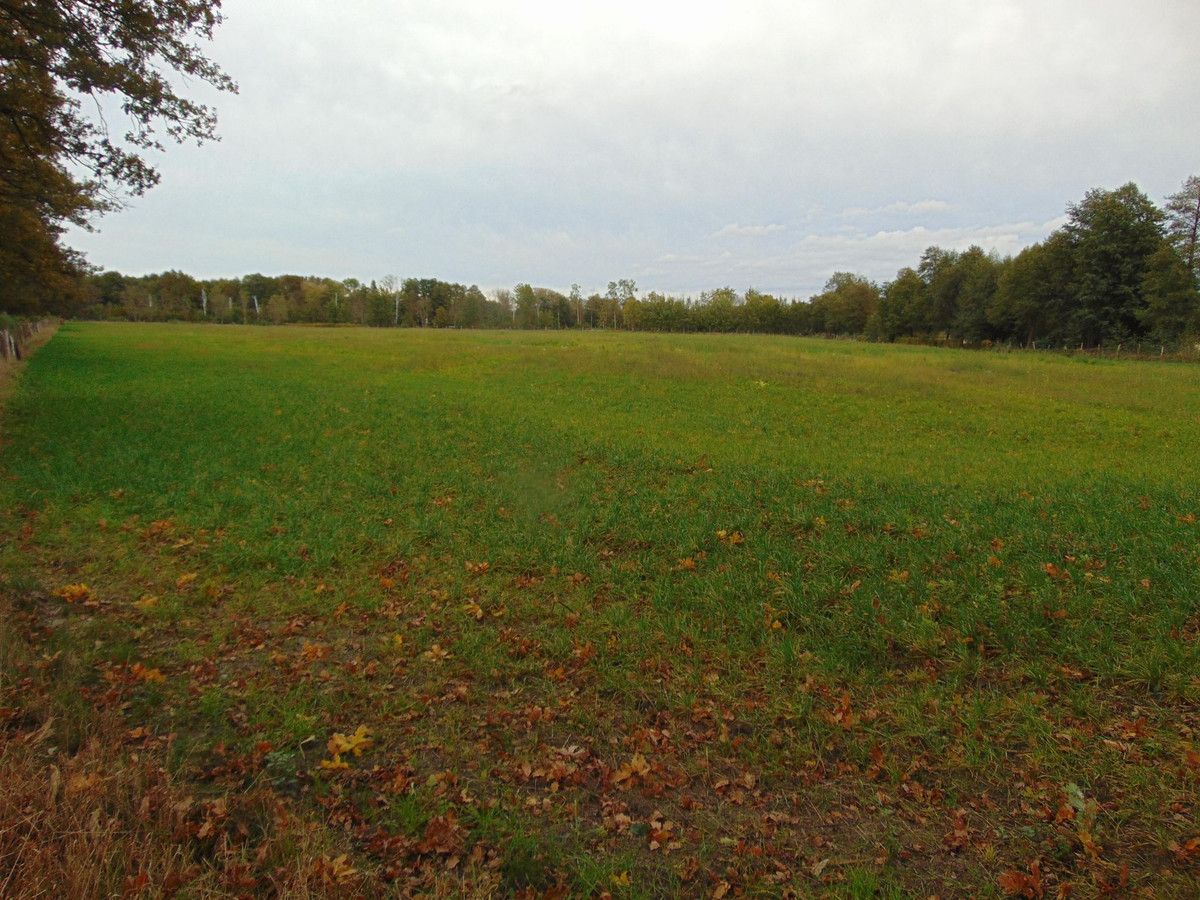 Działka inwestycyjna Zielona Góra. Zdjęcie 2