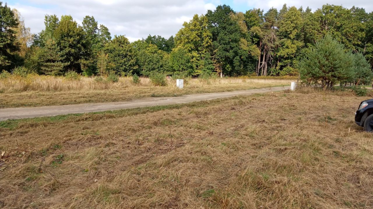 Działka budowlana Czapielsk, ul. Podleśna. Zdjęcie 4