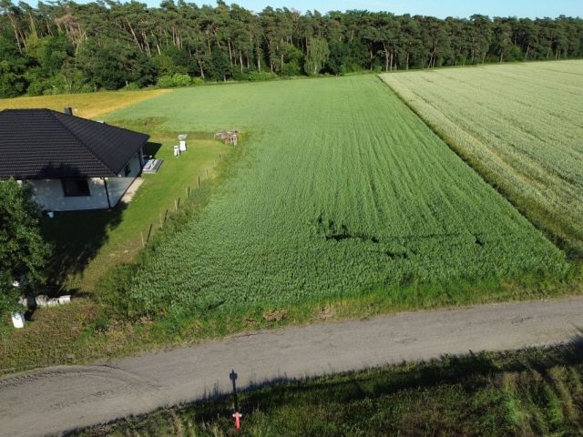 Działka budowlana Srocko Małe. Zdjęcie 1