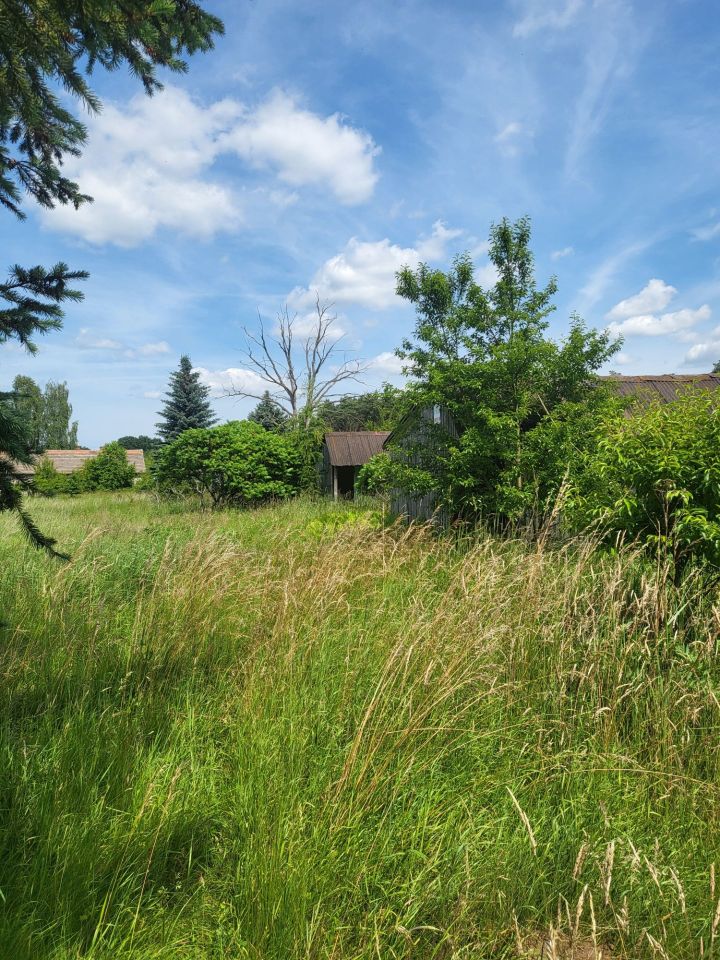 Działka inwestycyjna Lubów. Zdjęcie 6