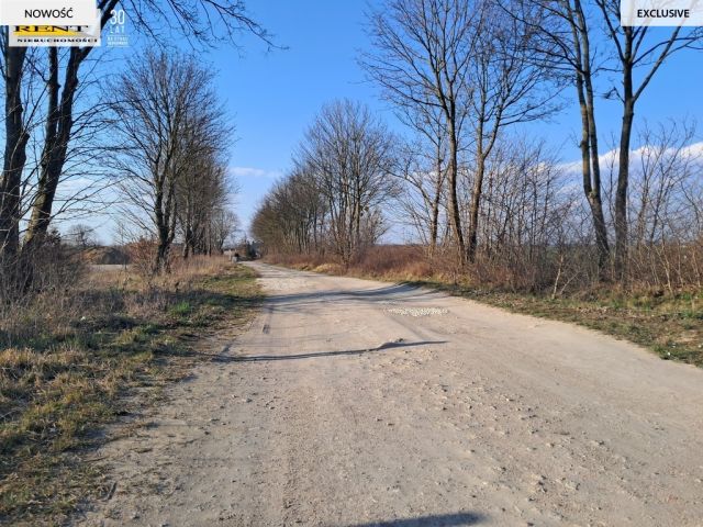 Działka budowlana Witkowo Pierwsze. Zdjęcie 8