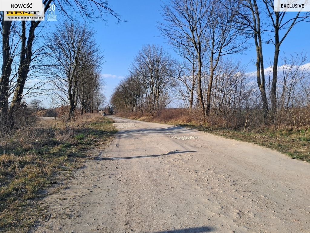 Działka budowlana Witkowo Pierwsze. Zdjęcie 8