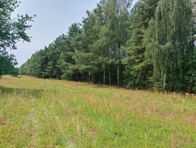 Działka budowlana Remiszew. Zdjęcie 1