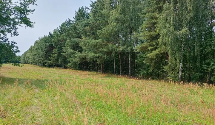 Działka budowlana Remiszew