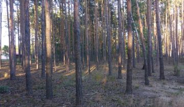 Działka budowlana Chotomów, ul. Księżycowa