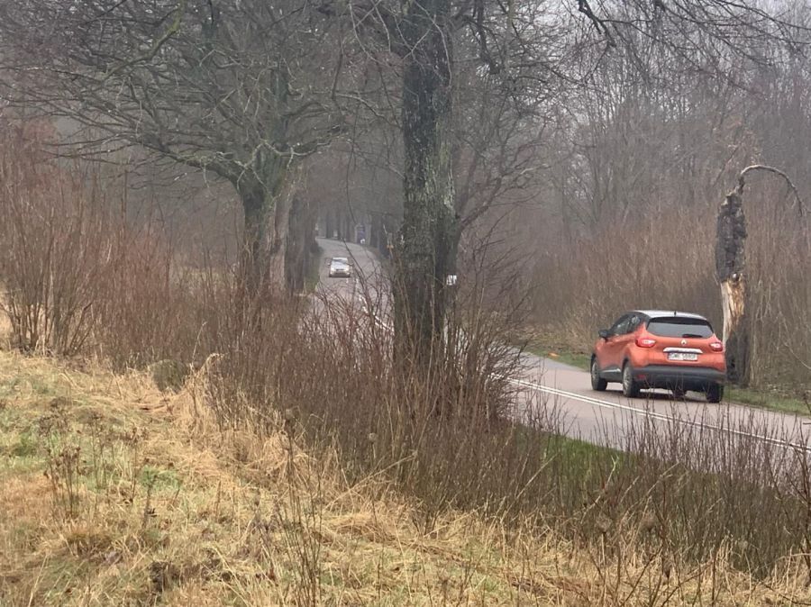 Działka budowlana Mierzyno. Zdjęcie 4