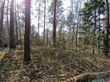 Działka budowlana Augustów Wójtowskie Włóki, ul. Lasanek. Zdjęcie 2