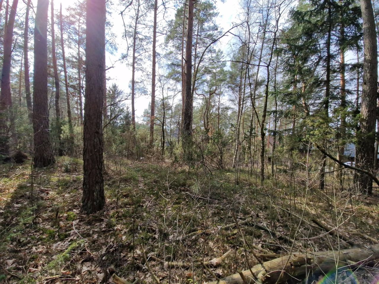 Działka budowlana Augustów Wójtowskie Włóki, ul. Lasanek. Zdjęcie 3