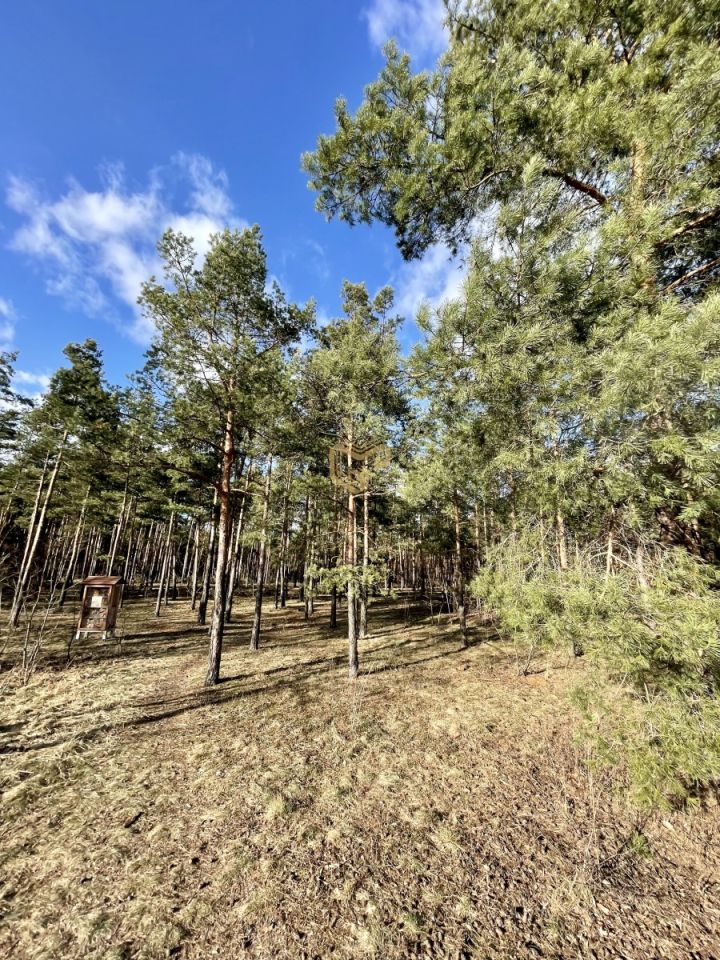 bliźniak, 5 pokoi Warszawa Wawer. Zdjęcie 4