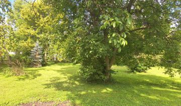 Działka budowlana Babice