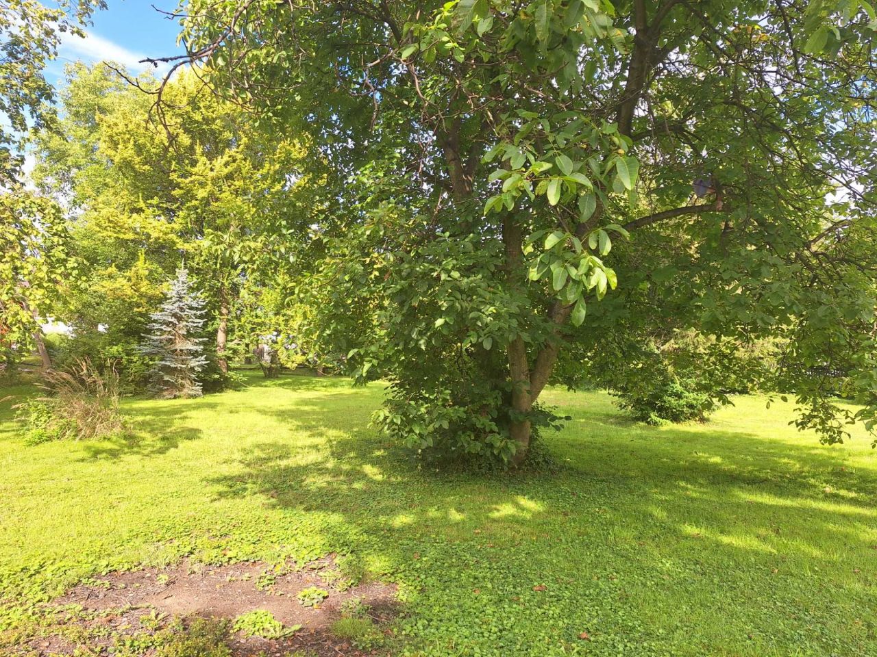 Działka budowlana Babice. Zdjęcie 2