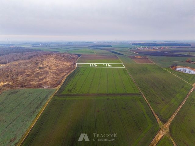 Działka rolna Rusko. Zdjęcie 14