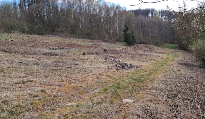 Działka budowlana Braciejowa