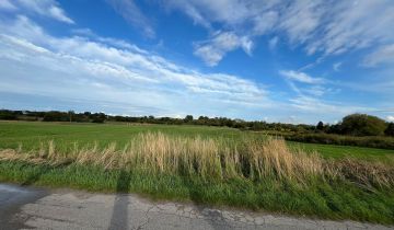 Działka rolna Warężyn Kuźnica Warężyńska