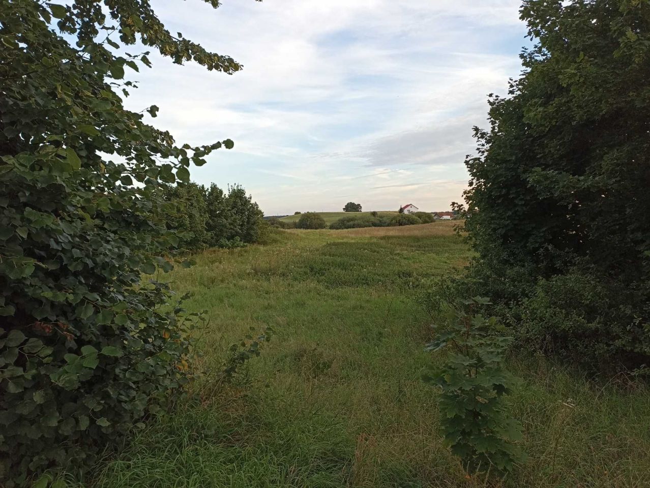 Działka rolno-budowlana Mikołajki. Zdjęcie 2