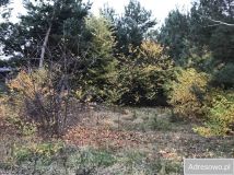 Działka budowlana Wola Uhruska, ul. Zacisze. Zdjęcie 3