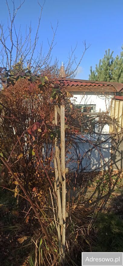 Działka rod Janikowo. Zdjęcie 8