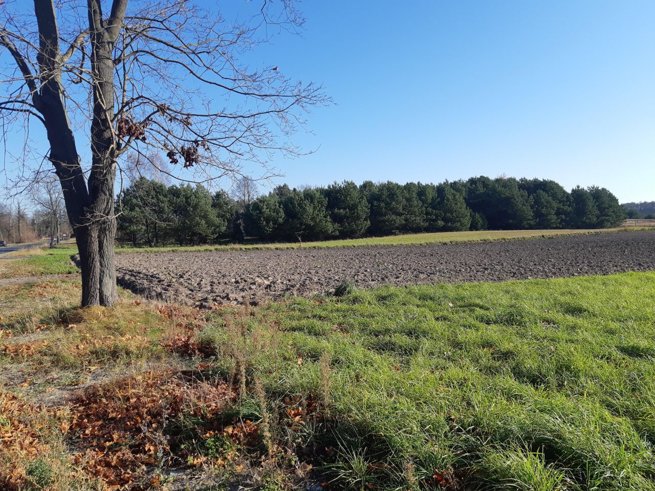 Działka budowlana Prostyń. Zdjęcie 4