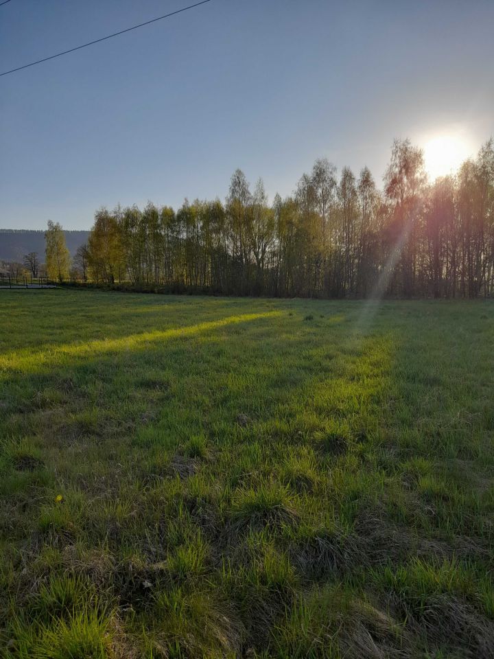 Działka budowlana Roczyny, ul. Jesionowa. Zdjęcie 2