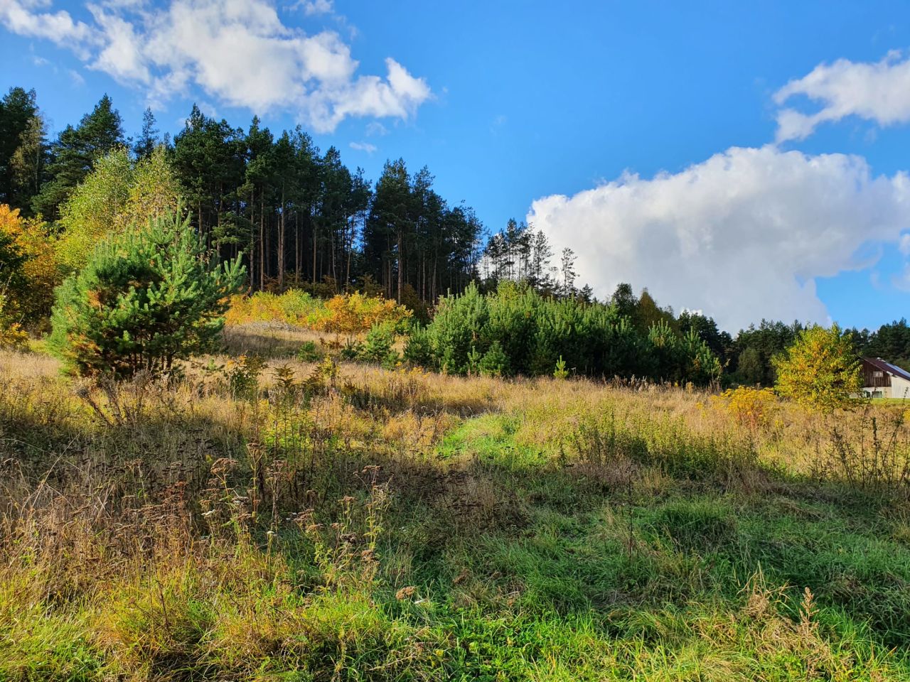 Działka budowlana Łupstych